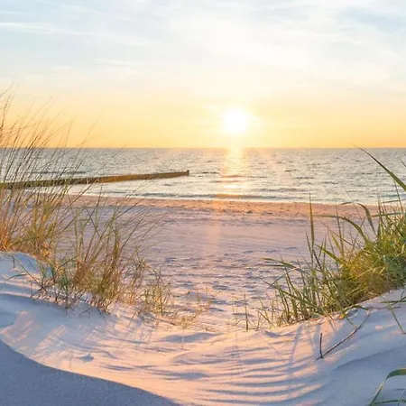 Hornfisch * Бреге