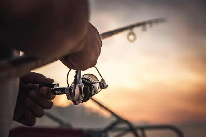 Hornfisch Lägenhet *